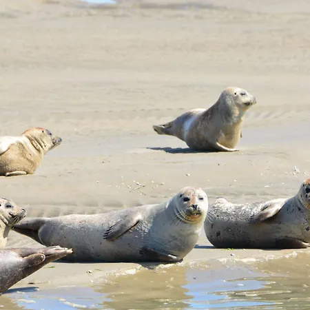 Les Hirondelles B * 勒克罗图瓦